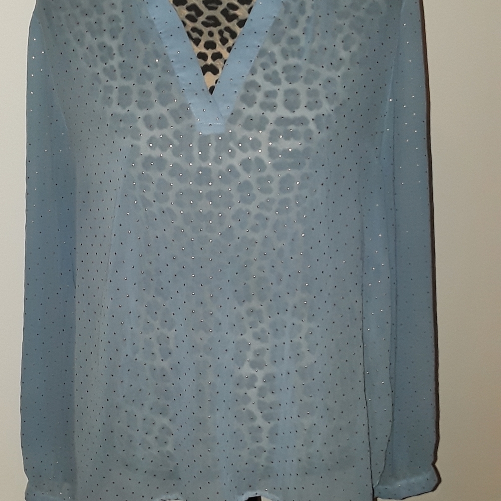 Sheer dress top